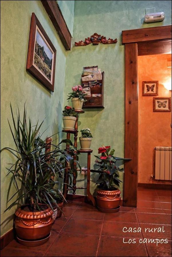Casa Rural Los Campos Corao Екстер'єр фото