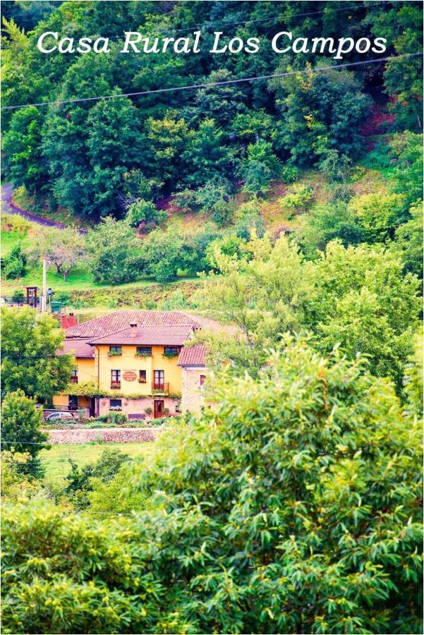 Casa Rural Los Campos Corao Екстер'єр фото