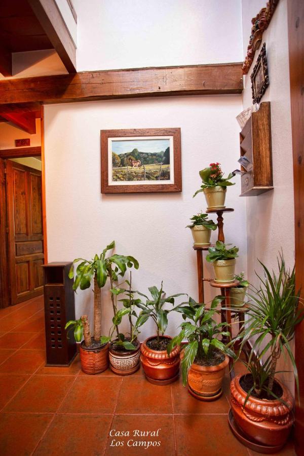 Casa Rural Los Campos Corao Екстер'єр фото